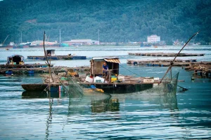 Aquaculture rafts at the foot of Son Tra peninsula