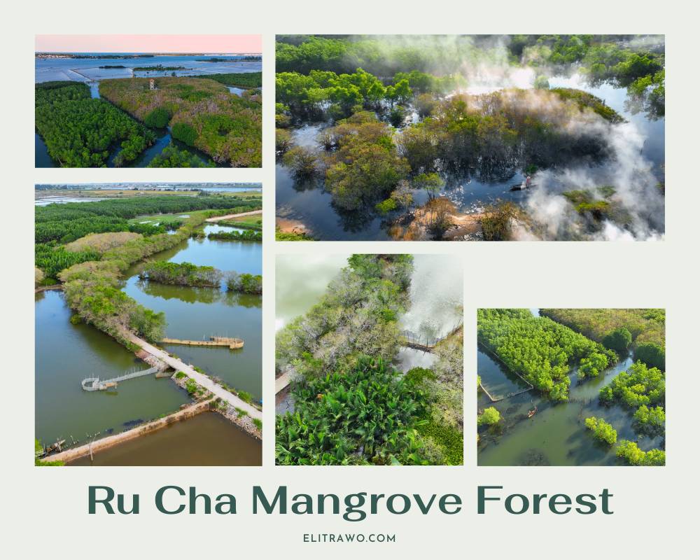 Ru Cha Mangrove Forest