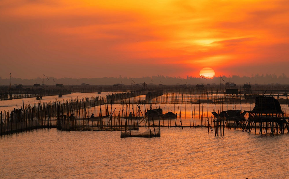 Visit Tam Giang lagoon