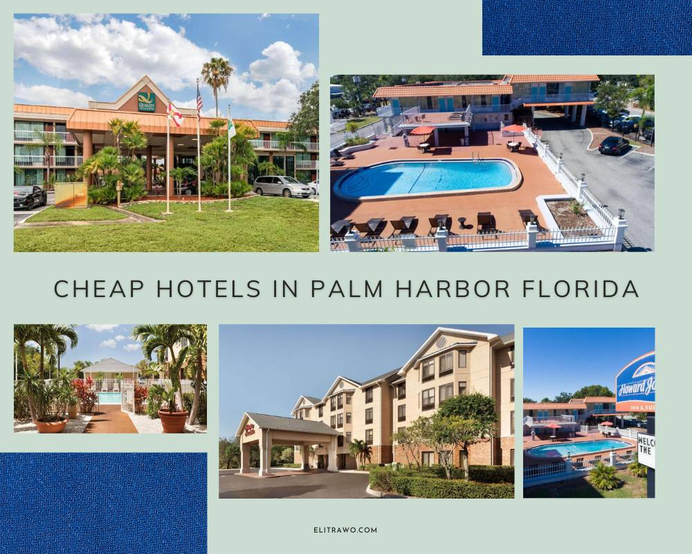 Cheap Hotels In Palm Harbor Florida