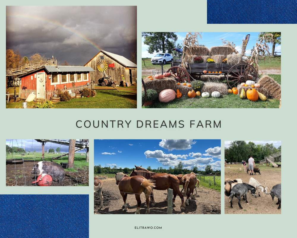 Country Dreams Farm