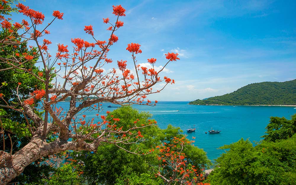 Best Time to Visit Cu Lao Cham Island