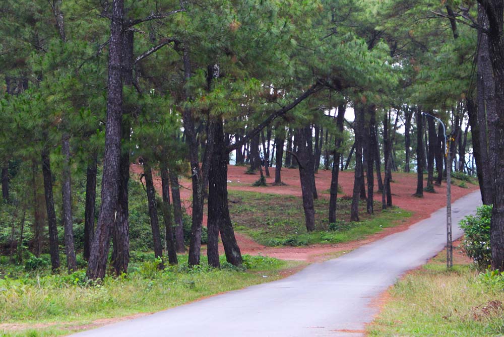 Vong Canh Hill View