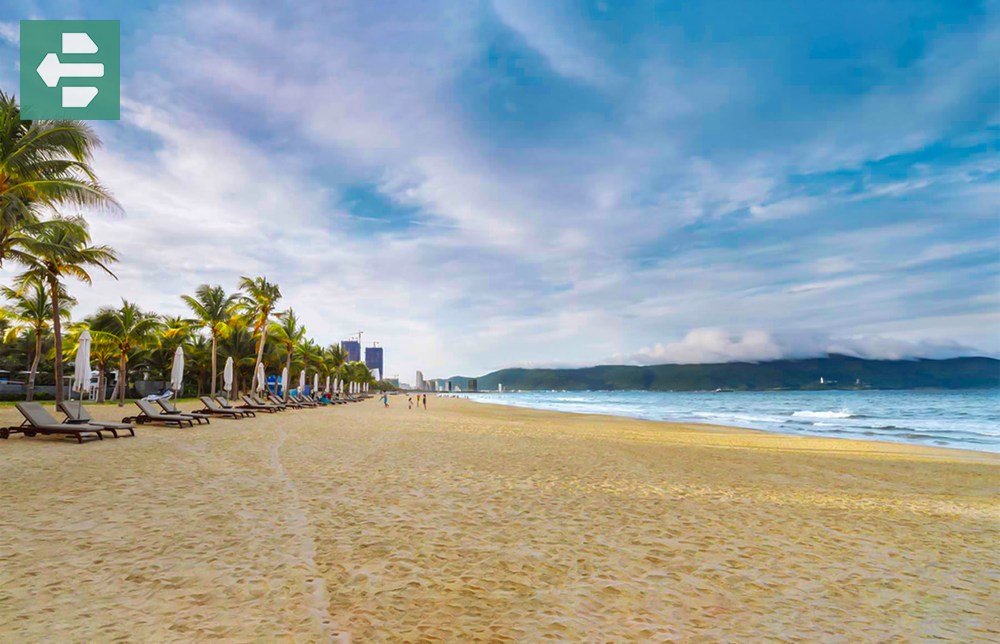 Sandy Beach Palms Ocean At Pham Van Dong Beach