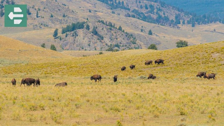 Best Places To Visit In Us In July