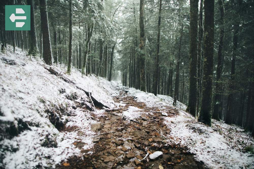 Great Smoky Mountains in November