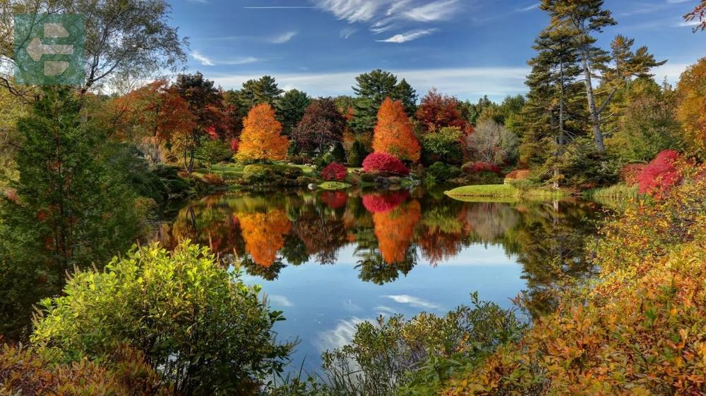 Bar Harbor Autumn