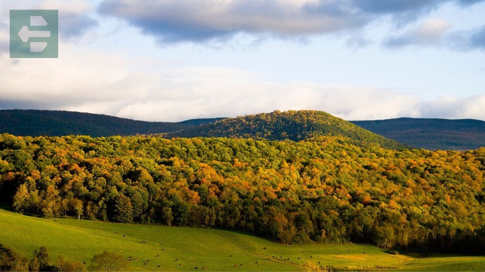 Berkshires Autumn