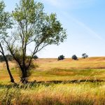 Best Places To Camp In Northern California