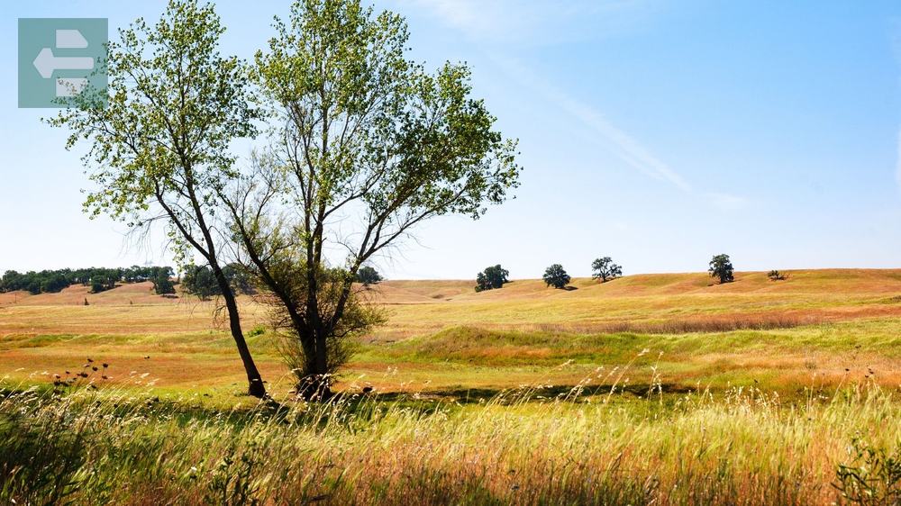 Best Places To Camp In Northern California