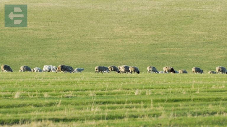 Best Places To Visit In August