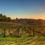 Best Places To Visit In California In December