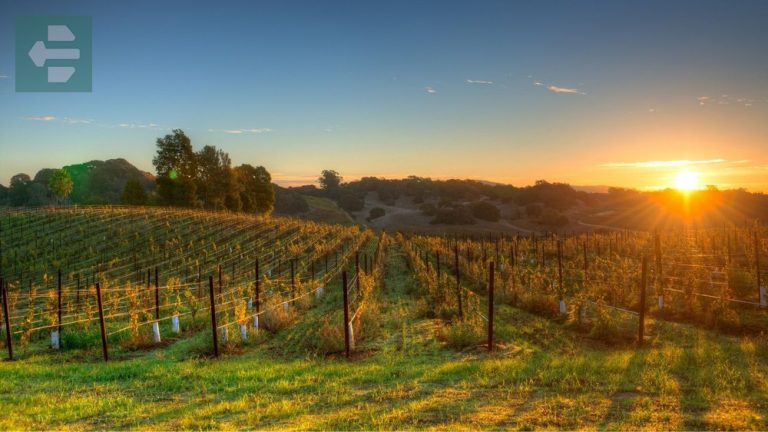 Best Places To Visit In California In December