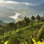 Best Places To Visit In December India