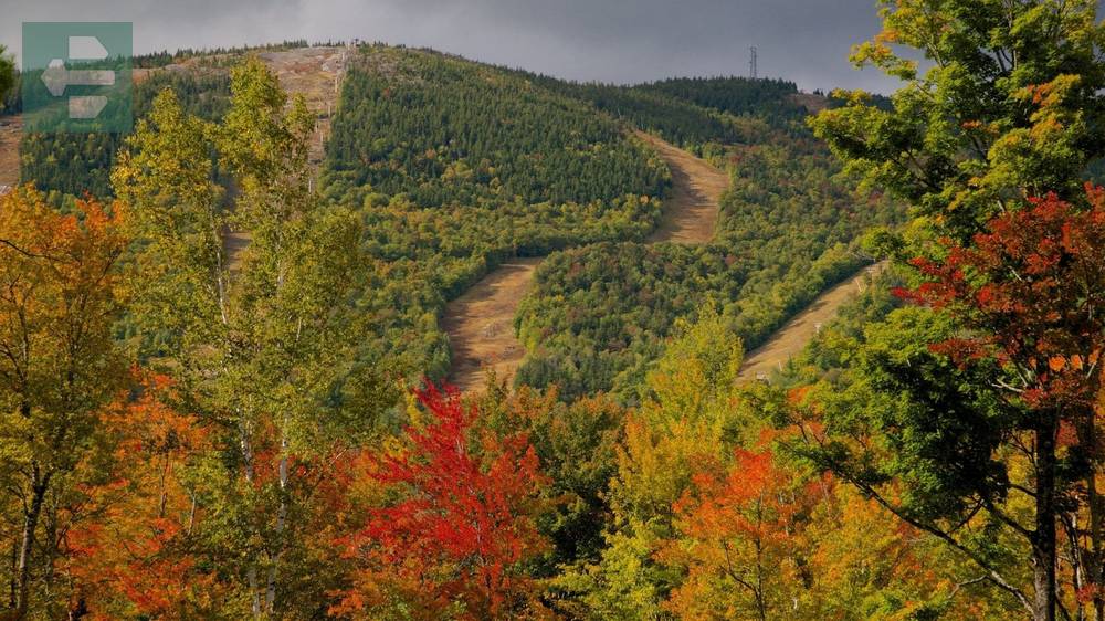 Bethel Fall
