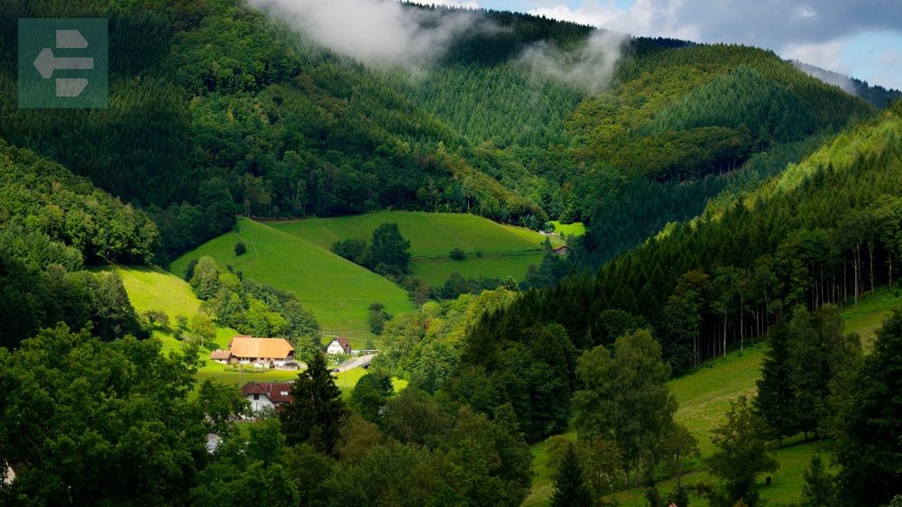 Black Forest Germany