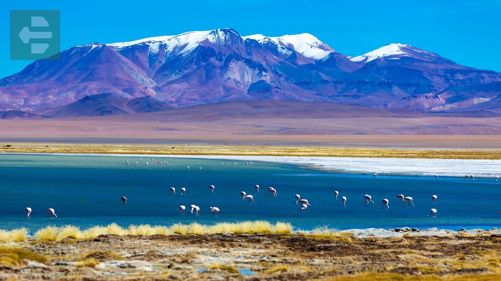 Chile