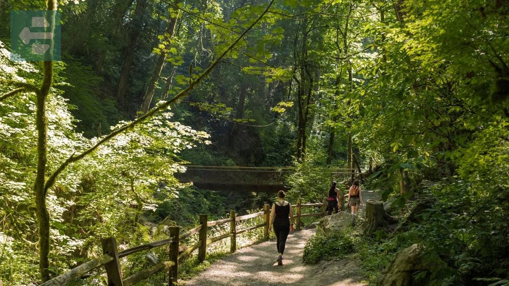 Forest Park Portland Oregon USA