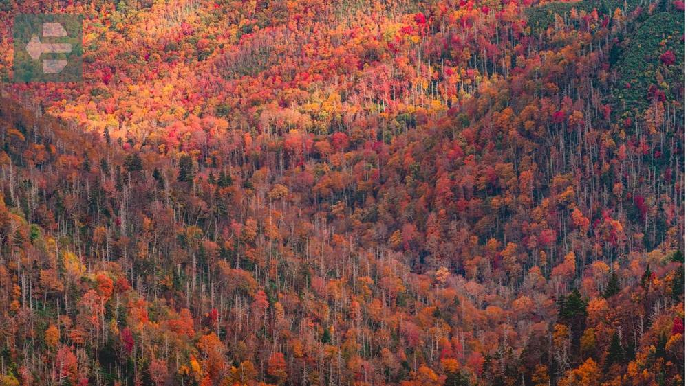Great Smoky Mountains USA Fall