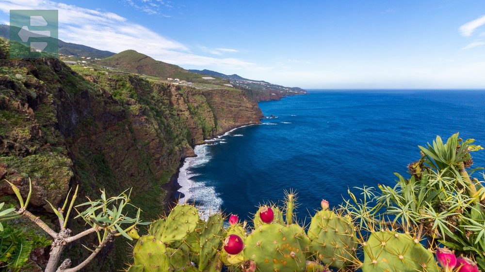 Las Palmas Canary Islands