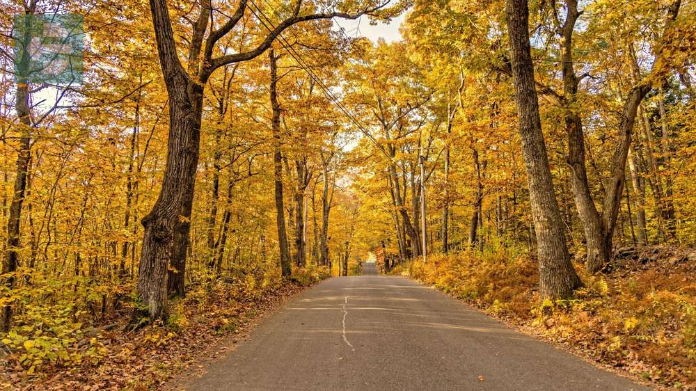 Massachusetts Fall