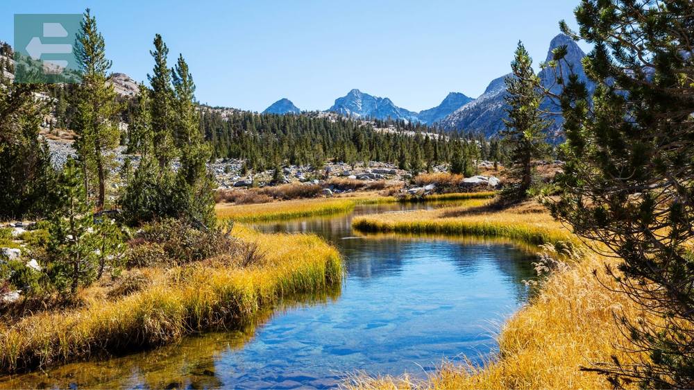 Nevada USA