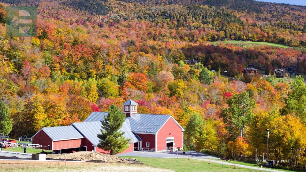 New England Fall