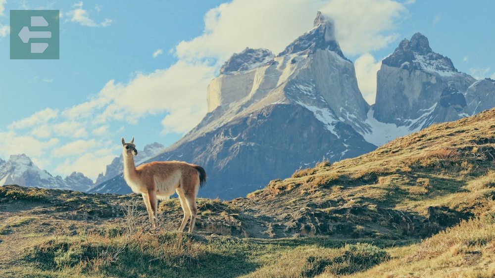 Patagonia