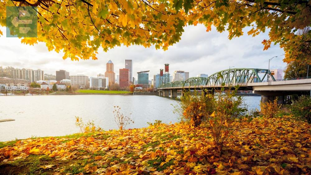 Portland Autumn