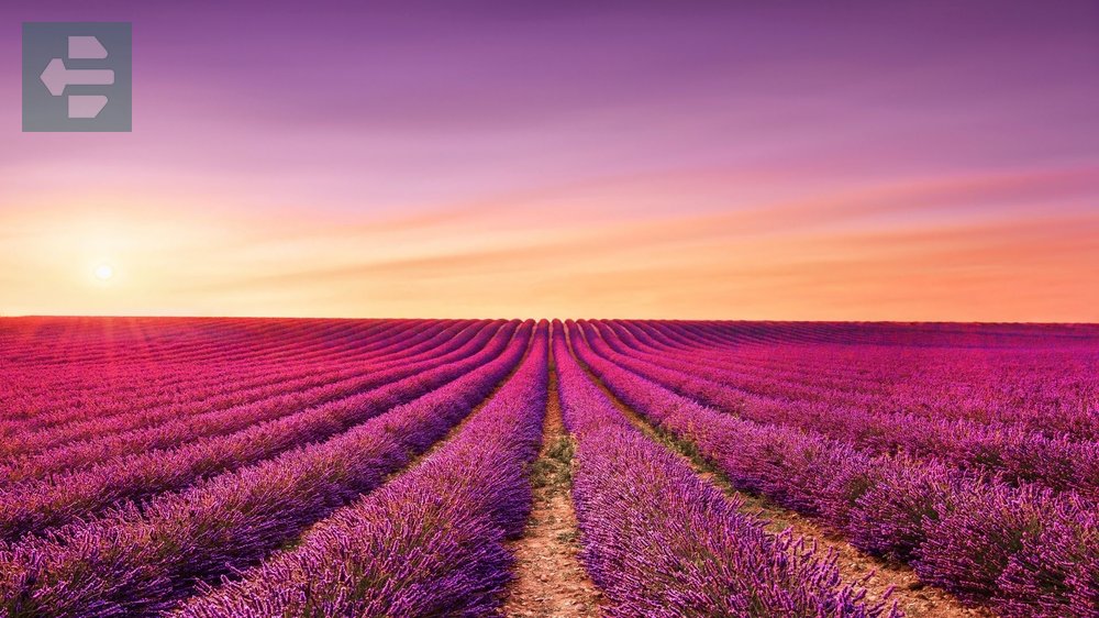 Provence France