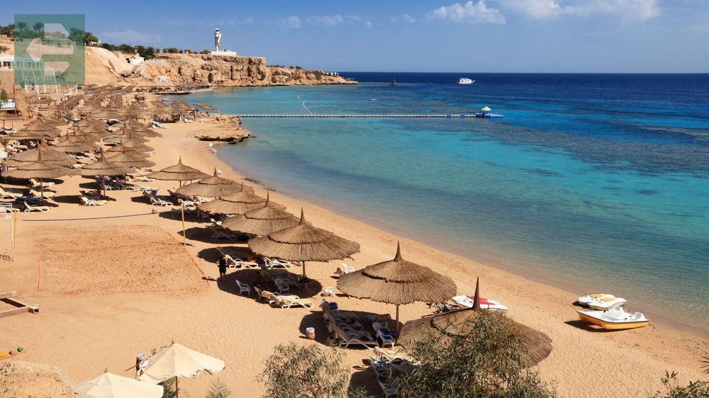 Red Sea Egypt