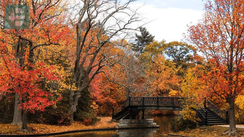 Rhode Island Autumn
