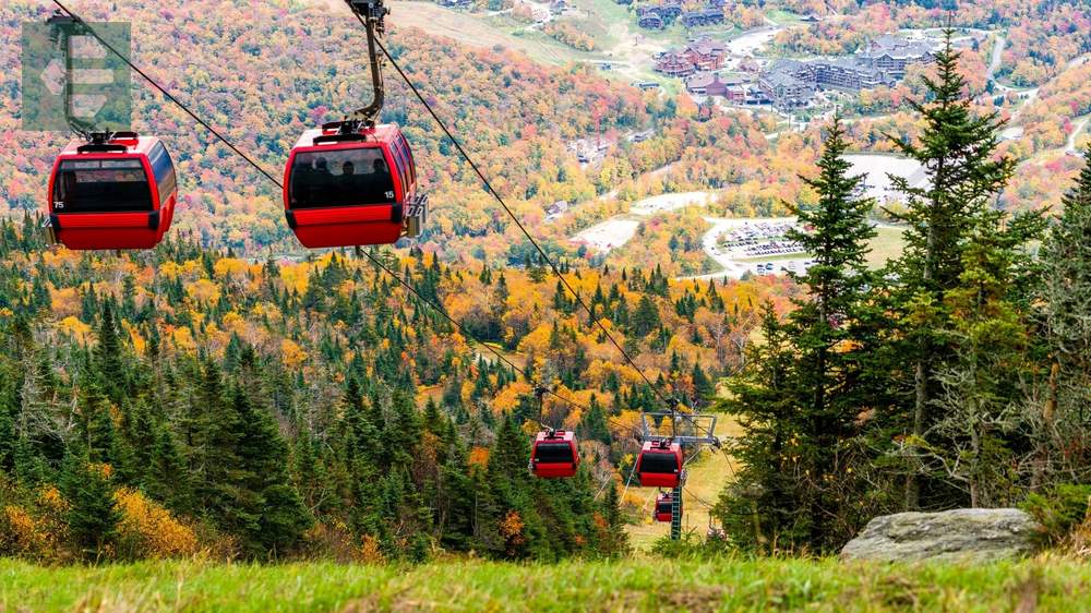 Stowe Fall