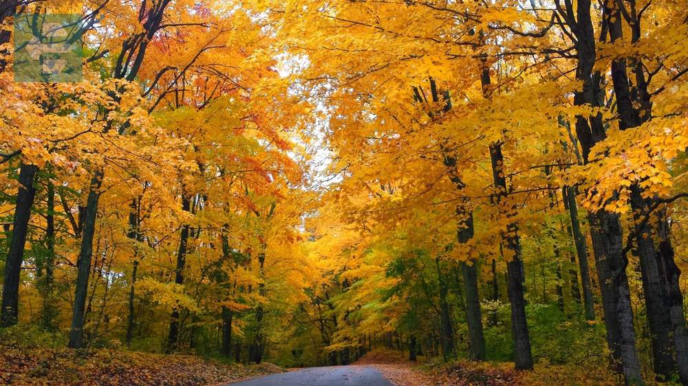 Wisconsin Fall