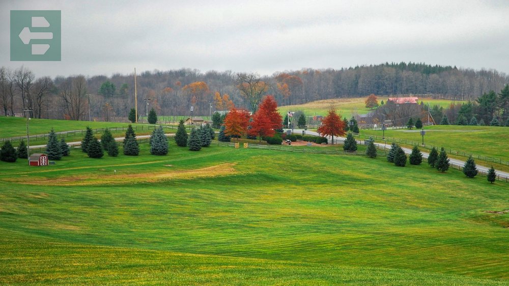 Woodstock Fall