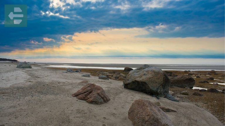 Best Places To Go In Cape Cod