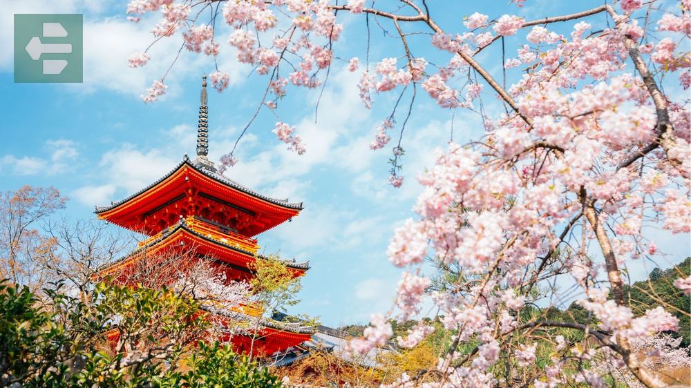 Best Places To Go In Kyoto