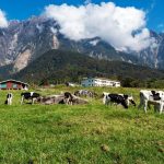 Best Places To Go In Malaysia