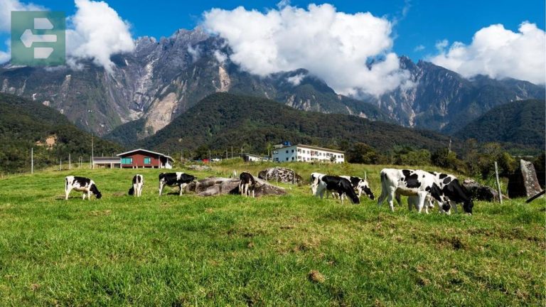 Best Places To Go In Malaysia