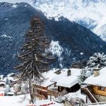 Best Places To Go Snowboarding