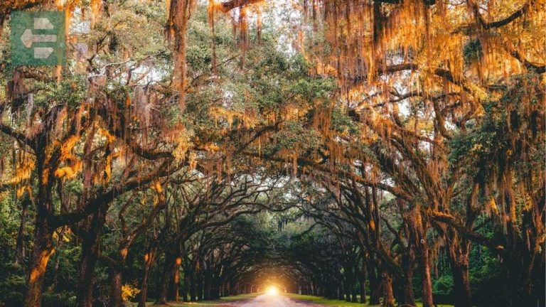 Best Places To Travel East Coast