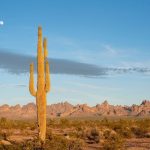 Best Places To Visit In Arizona