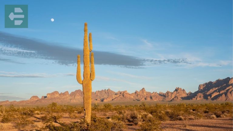Best Places To Visit In Arizona