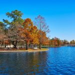 Best Places To Visit In Houston