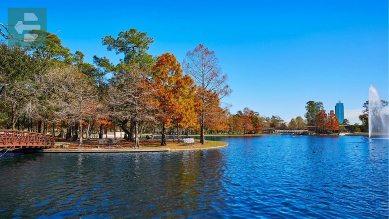 Best Places To Visit In Houston