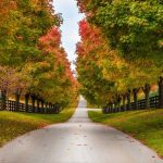 Best Places To Visit In Kentucky