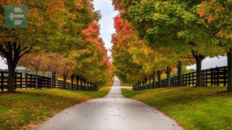 Best Places To Visit In Kentucky
