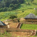 Best Places To Visit In Kerala