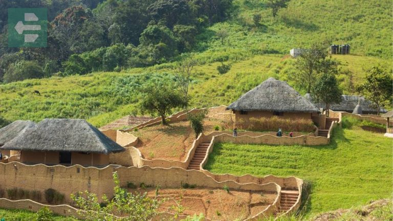 Best Places To Visit In Kerala