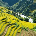 Best Places To Visit In Vietnam